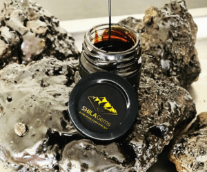 Shilagems Pure Shilajit Resin 100 Gram